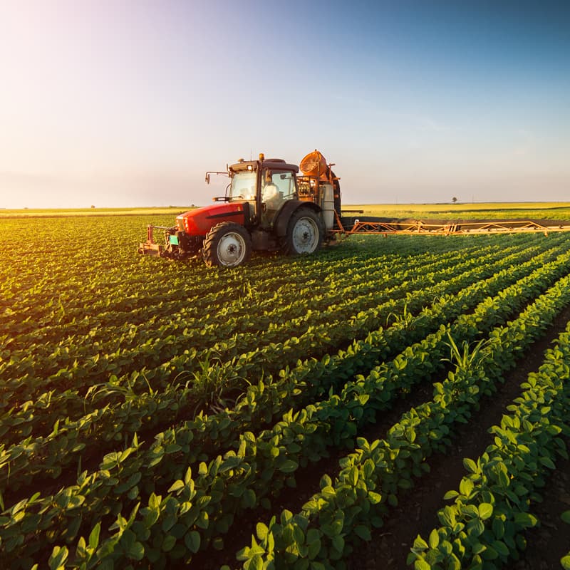 Empresa de desbroces en Monfero - Servicios agrarios