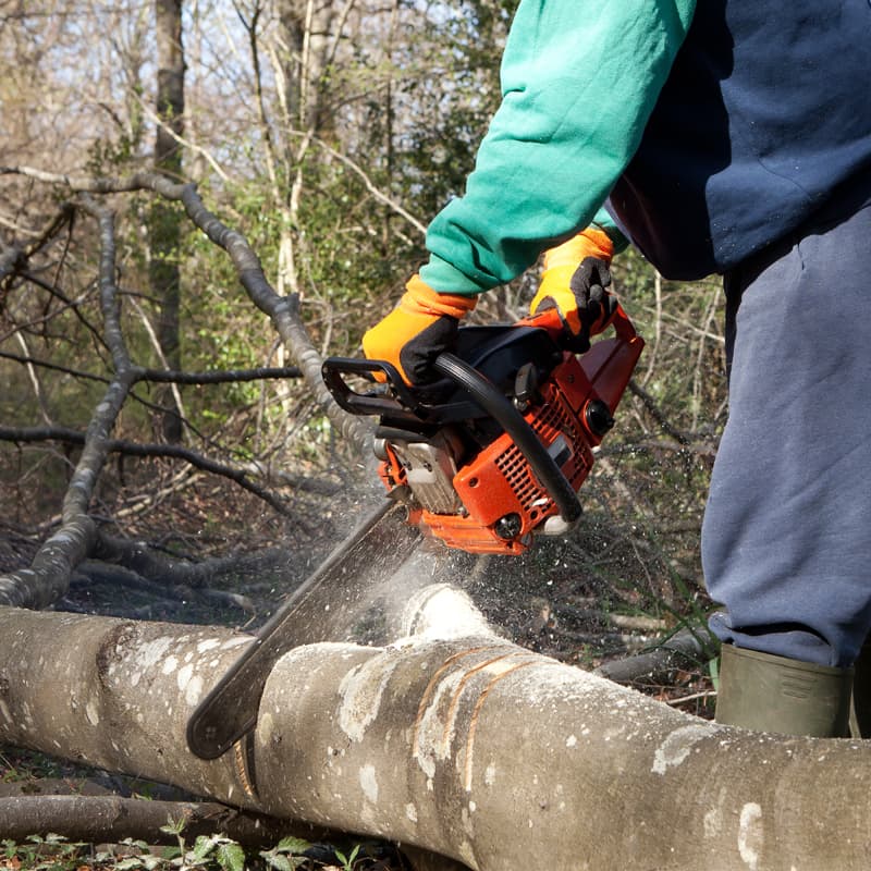 Empresa de desbroces en Monfero - Servicios forestales