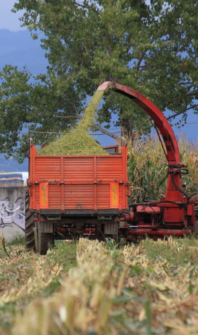 Revaloriza tu finca con un desbroce profesional